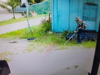 하는 일마다 대박!님의 콩 · 영농일지 작성글 사진