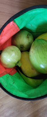 팜모닝 자유주제·자유게시판 게시글 이미지