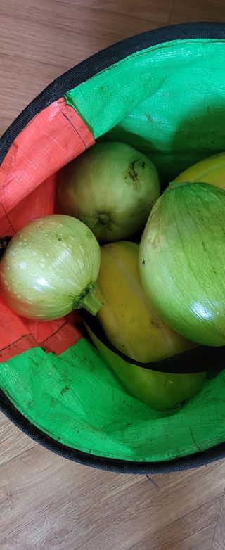 김원영님의 자유주제 · 자유게시판 작성글 사진