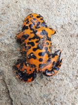 팜모닝 기타작물·병해충상담 게시글 이미지