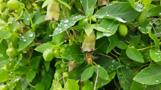 조병대님의 기타작물 · 자유게시판 작성글 사진