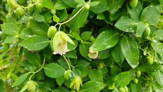 조병대님의 기타작물 · 자유게시판 작성글 사진