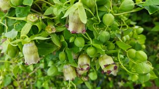 조병대님의 기타작물 · 자유게시판 작성글 사진