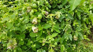 조병대님의 기타작물 · 자유게시판 작성글 사진