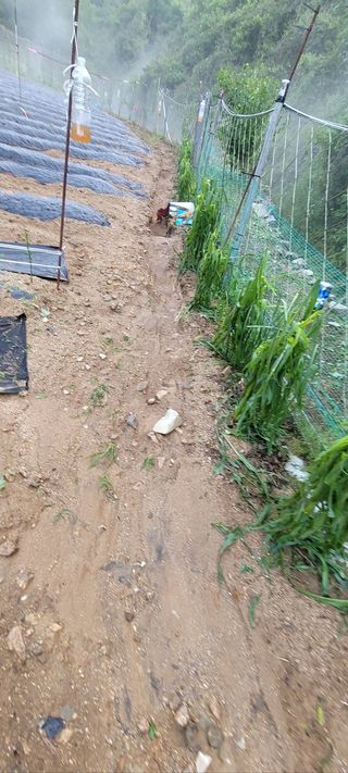 서상진님의 자유주제 · 자유게시판 작성글 사진