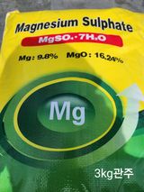 팜모닝 포도·자유게시판 게시글 이미지