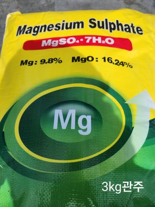 김경규님의 포도 · 자유게시판 작성글 사진