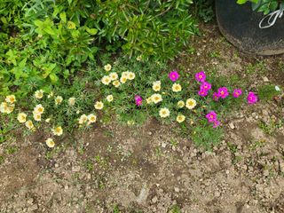 동해리님의 자유주제 · 자유게시판 작성글 사진