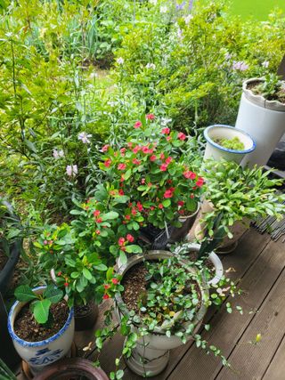 동해리님의 자유주제 · 자유게시판 작성글 사진