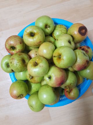 김경희님의 자유주제 · 자유게시판 작성글 사진