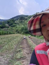 팜모닝 어떤 유기농자재 쓰세요?·참여글 게시글 이미지