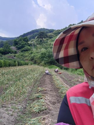 부여.김미경님의 어떤 유기농자재 쓰세요? · 참여글 작성글 사진