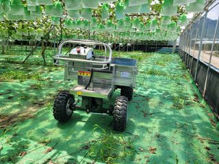 박민수님의 자유주제 · 사진전 작성글 사진