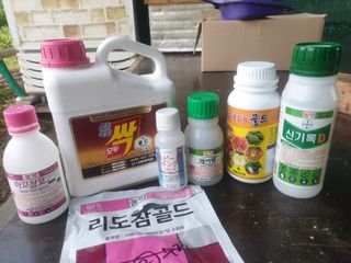 유영선님의 고추 · 영농일지 작성글 사진