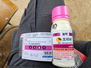 경규찬님의 고추 · 영농일지 작성글 사진