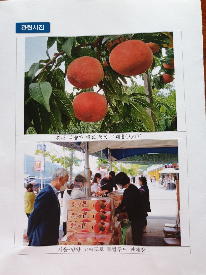 장터 상품 [홍천대홍복숭아4kg] 썸네일