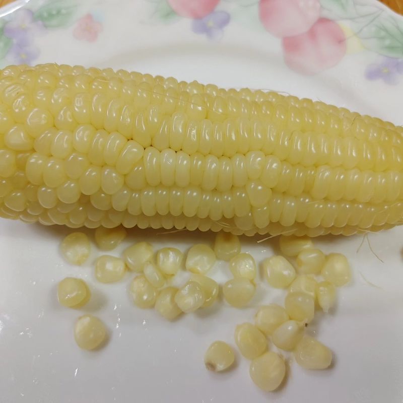 약초를사랑한짱아줌마님의 장터 판매 상품 [박사찰 옥수수 30개] 첨부 사진