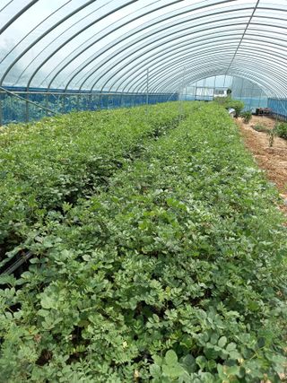 알 수 없음님의 기타작물 · 자유게시판 작성글 사진