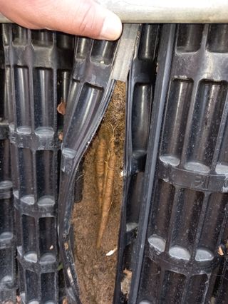 알 수 없음님의 기타작물 · 자유게시판 작성글 사진