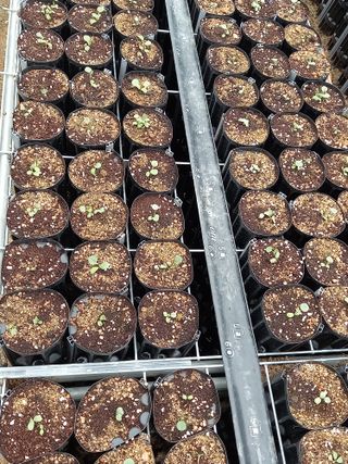 알 수 없음님의 기타작물 · 자유게시판 작성글 사진