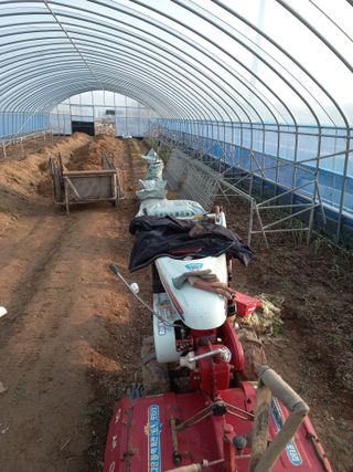 알 수 없음님의 기타작물 · 자유게시판 작성글 사진