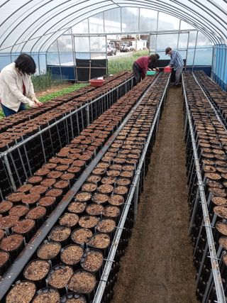 알 수 없음님의 기타작물 · 자유게시판 작성글 사진