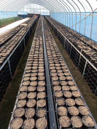 알 수 없음님의 기타작물 · 자유게시판 작성글 사진