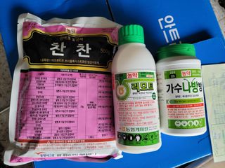 이강진님의 사과 · 영농일지 작성글 사진