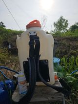 팜모닝 자두·영농일지 게시글 이미지