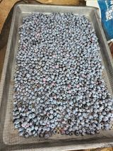 팜모닝 블루베리·자유게시판 게시글 이미지