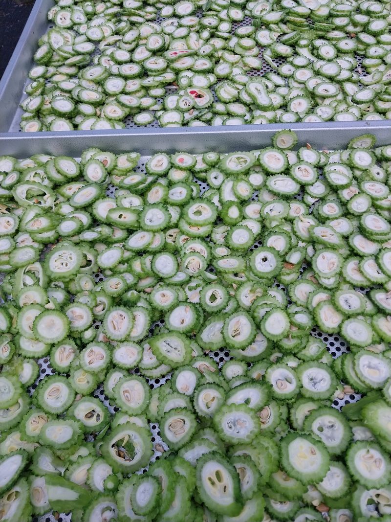 장터 상품 [미니단호박.여주.단호박] 썸네일