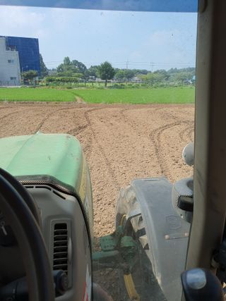 남산님의 양배추 · 자유게시판 작성글 사진