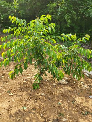 이강천님의 기타작물 · 자유게시판 작성글 사진