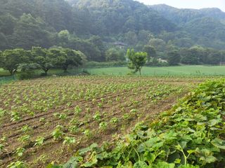 동해리님의 자유주제 · 자유게시판 작성글 사진