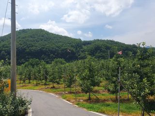 알 수 없음님의 우리동네 · 동네수다 작성글 사진