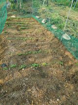 팜모닝 자유주제·자유게시판 게시글 이미지