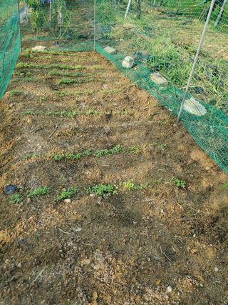 윤근순님의 자유주제 · 자유게시판 작성글 사진