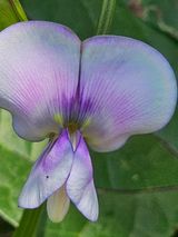 팜모닝 자유주제·자유게시판 게시글 이미지