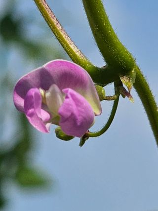 양철주님의 자유주제 · 자유게시판 작성글 사진