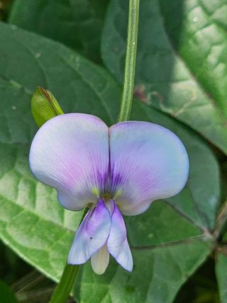 양철주님의 자유주제 · 자유게시판 작성글 사진