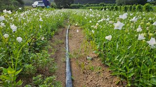 조병대님의 기타작물 · 자유게시판 작성글 사진