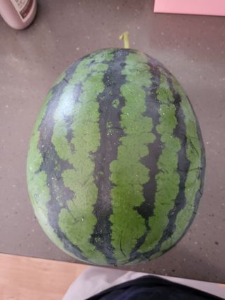 칠곡가산 최지훈님의 기타작물 · 자유게시판 작성글 사진