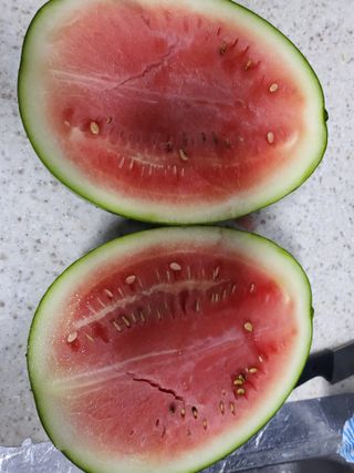 칠곡가산 최지훈님의 기타작물 · 자유게시판 작성글 사진