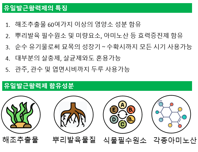 한농농약종묘사님의 장터 판매 상품 [[대용량]뿌리발근활력제 4L 뿌리발근제] 첨부 사진