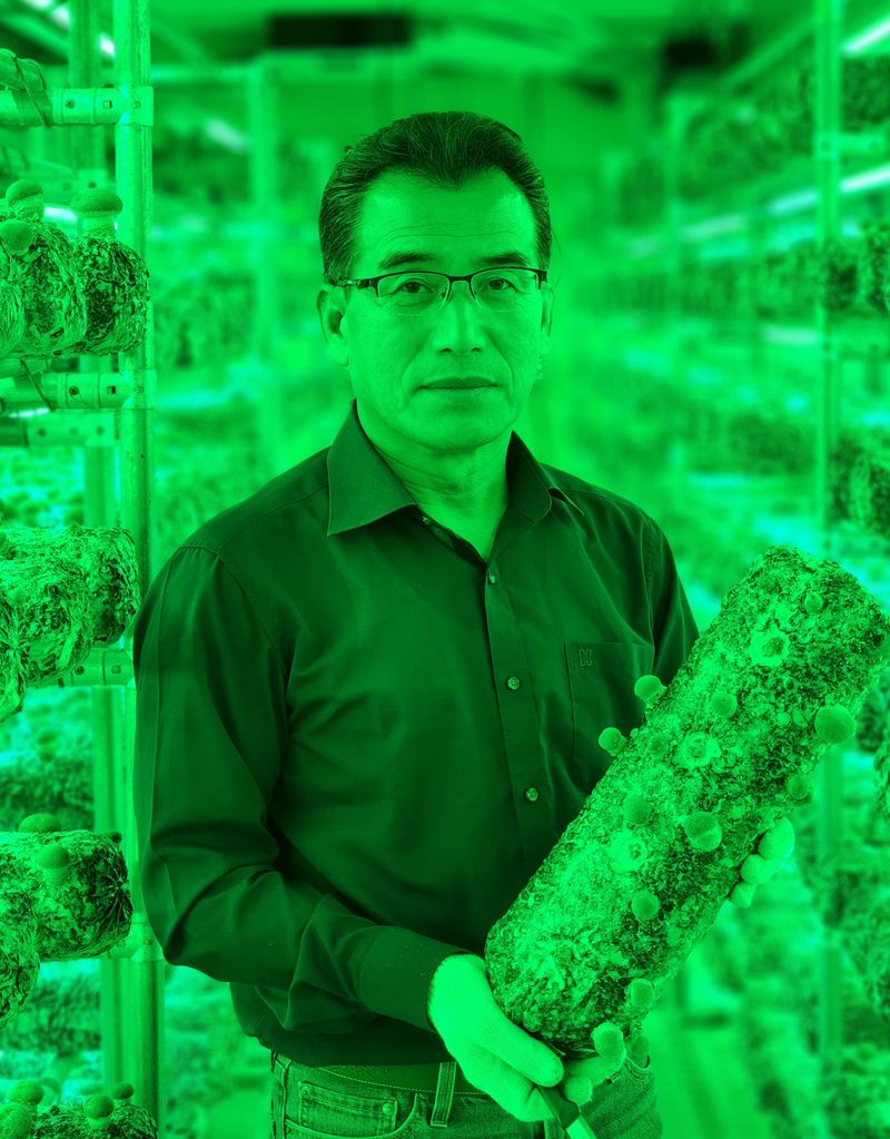 장터 상품 [송화버섯 1kg 기준] 썸네일