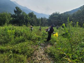 서성환님의 두릅 · 제초 작성글 사진