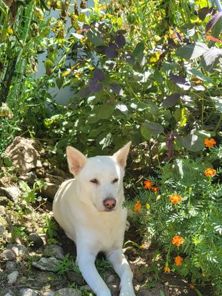 새리님의 자유주제 · 자유게시판 작성글 사진
