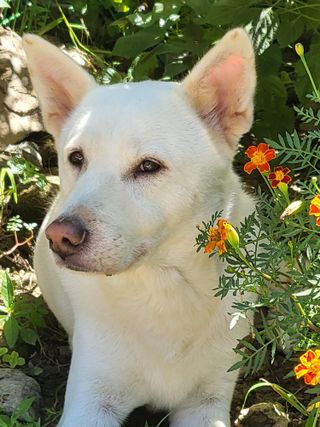 새리님의 자유주제 · 자유게시판 작성글 사진