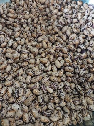 당진시 옥수수님의 자유주제 · 자유게시판 작성글 사진