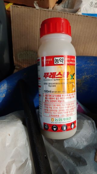 보물섬남자님의 귤 · 영농일지 작성글 사진